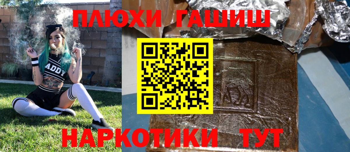 Боровичи  ГАШ Изолятор  Вход с VPN 